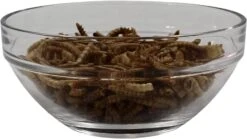 Songbird Essentials Bluebird Canteen Plastic Hopper Wild Bird Feeder - Blue - 7.5 X 10 X 17 In -Bird pet supplies Sales songbird essentials bluebird canteen plastic hopper wild bird feeder blue 75 x 10 x 17 in 902337