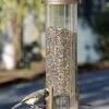 Squirrel-X X3 Squirrel Resistant Tubed Wild Bird Feeder - Blue - 4.2 Lbs Cap 1 Squirrel-X X3 Squirrel Resistant Tubed Wild Bird Feeder - Blue - 4.2 Lbs Cap -Bird pet supplies Sales squirrel x x3 squirrel resistant tubed wild bird feeder blue 42 lbs cap 235648